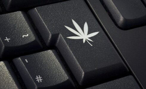Cannabis shoppers