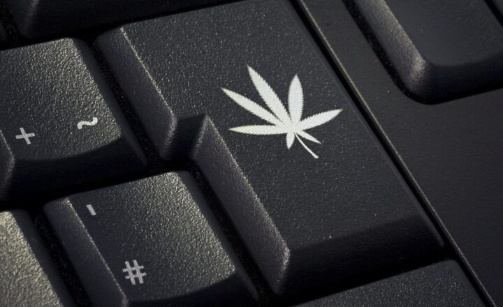 Cannabis shoppers